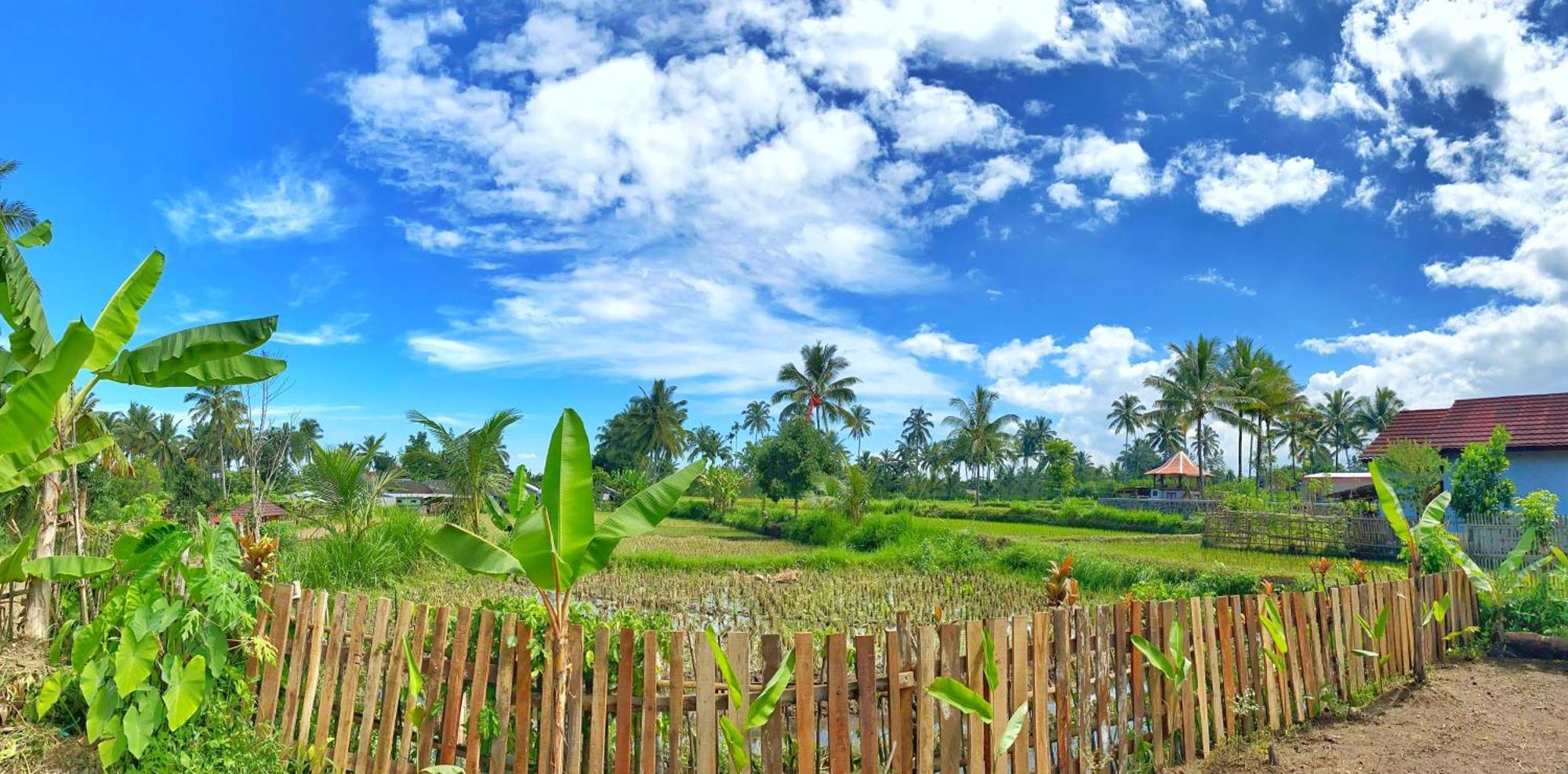 Alfarizi Homestay Tetebatu Exterior foto