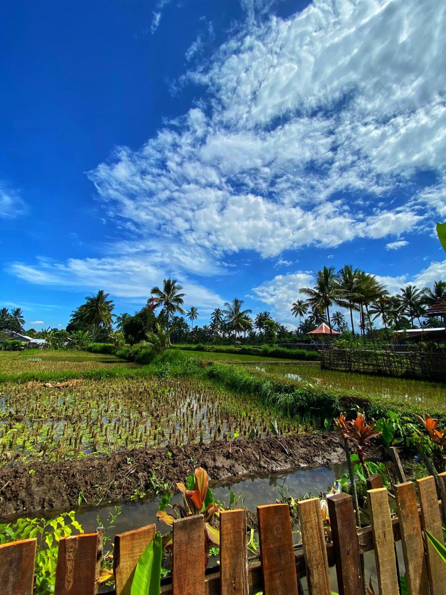 Alfarizi Homestay Tetebatu Habitación foto