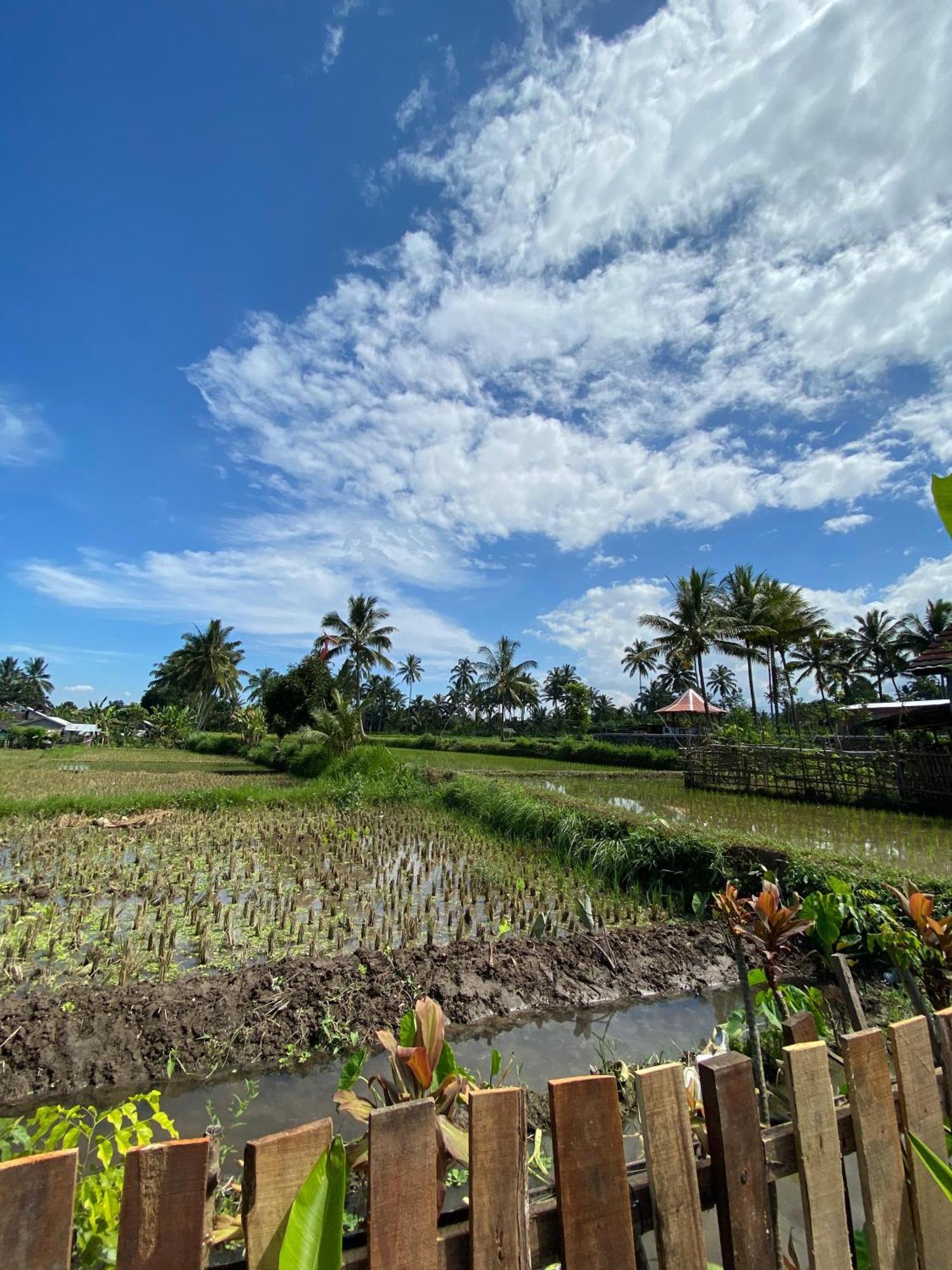 Alfarizi Homestay Tetebatu Exterior foto