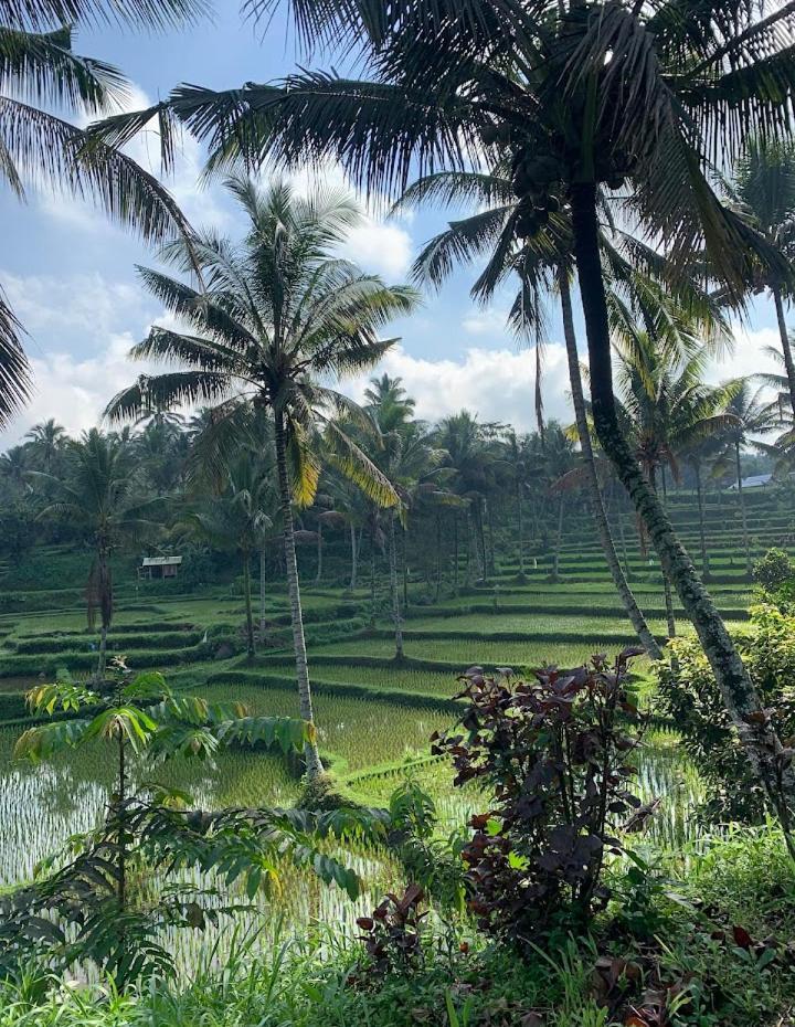 Alfarizi Homestay Tetebatu Exterior foto