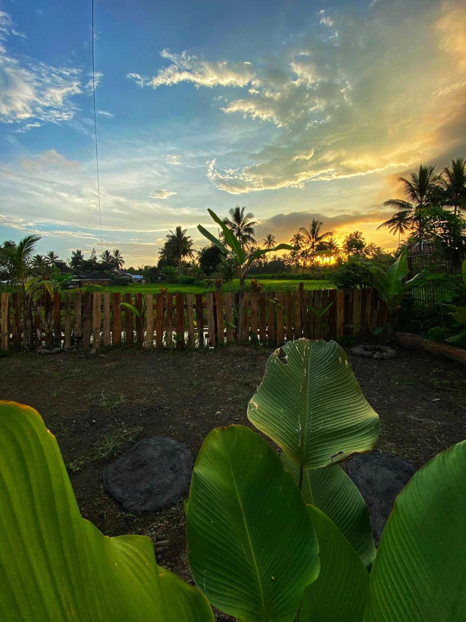 Alfarizi Homestay Tetebatu Exterior foto